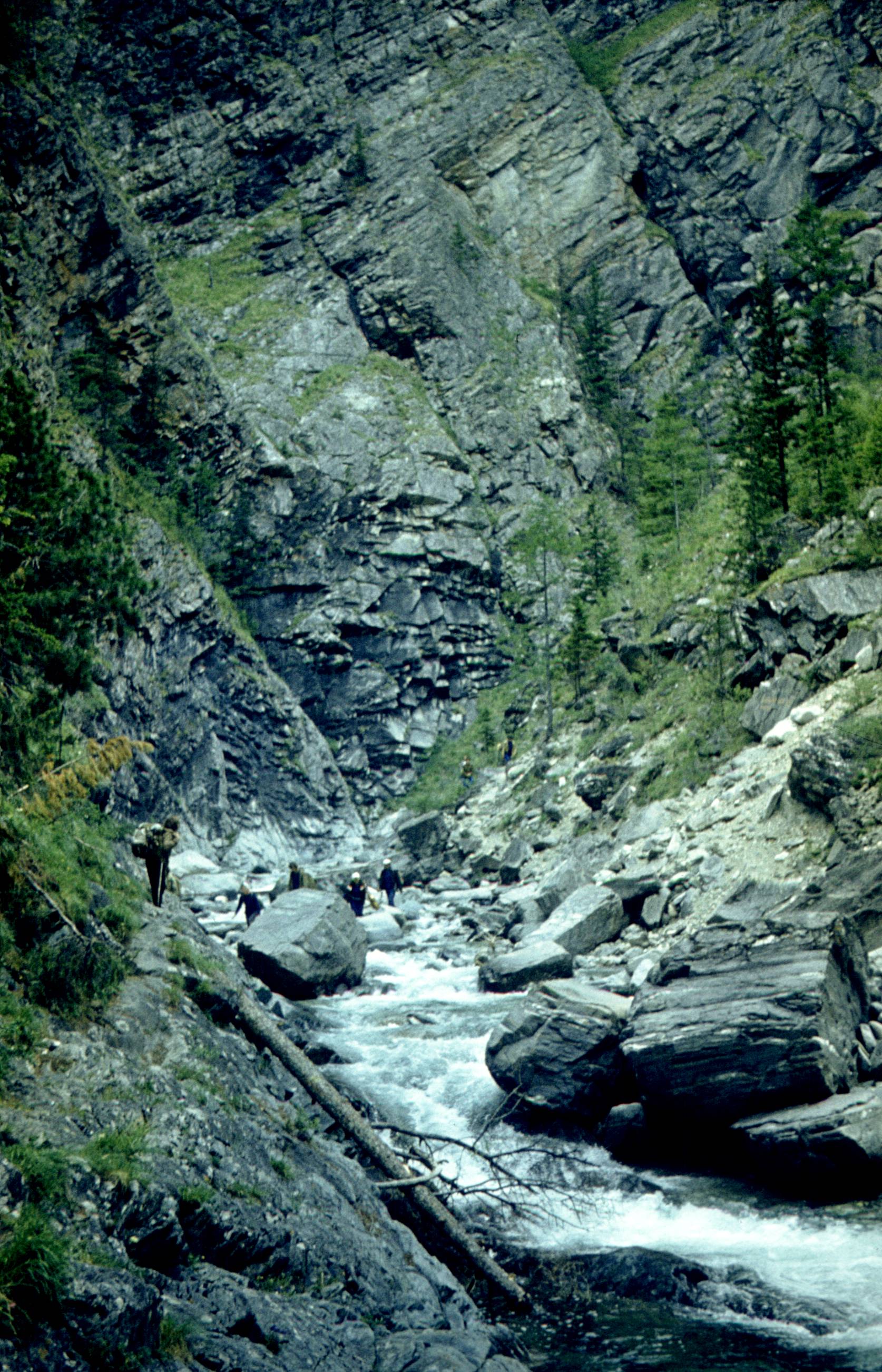 186.jpg