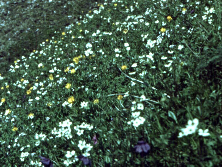 190-1.jpg