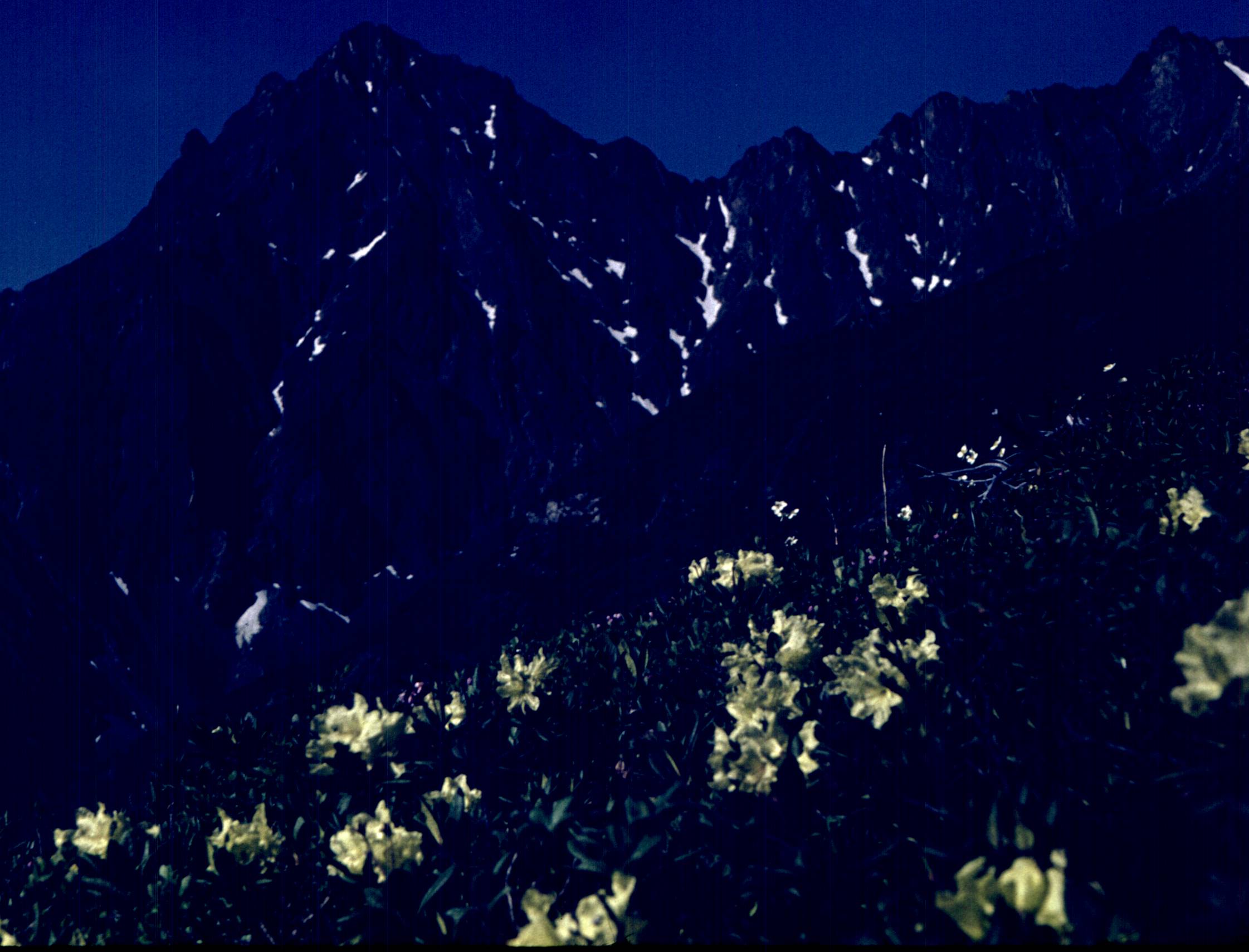 215.jpg