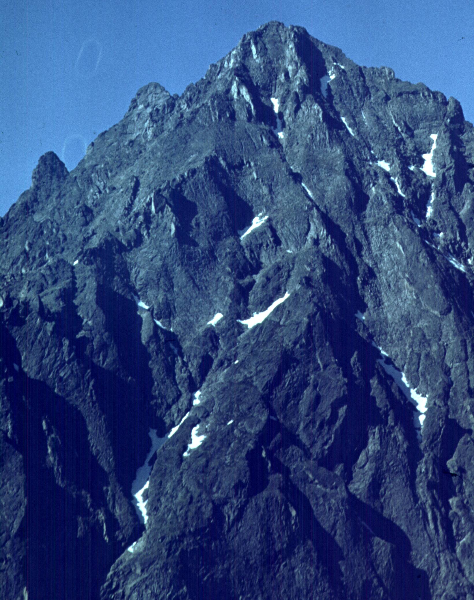 229.jpg