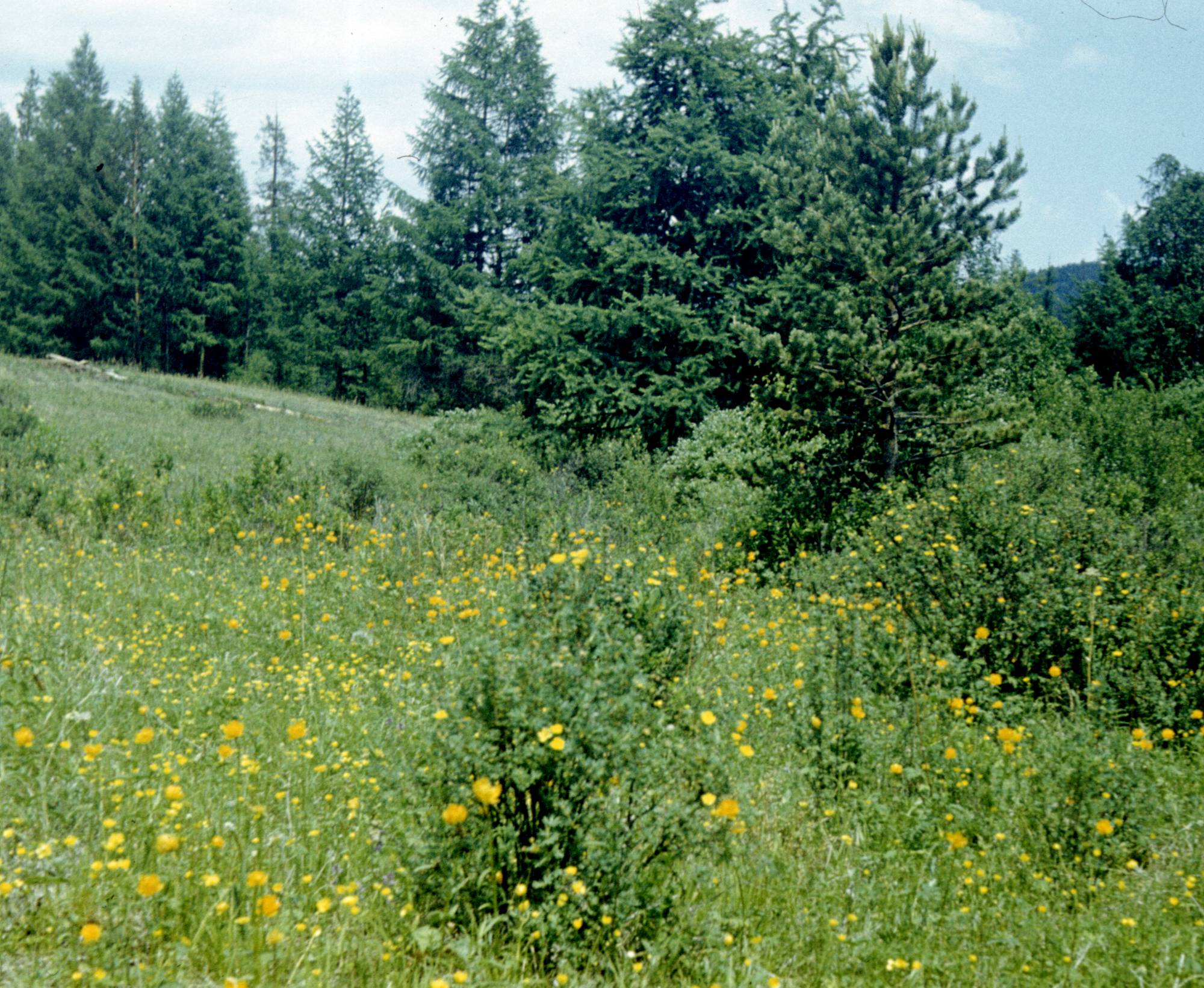 263.jpg