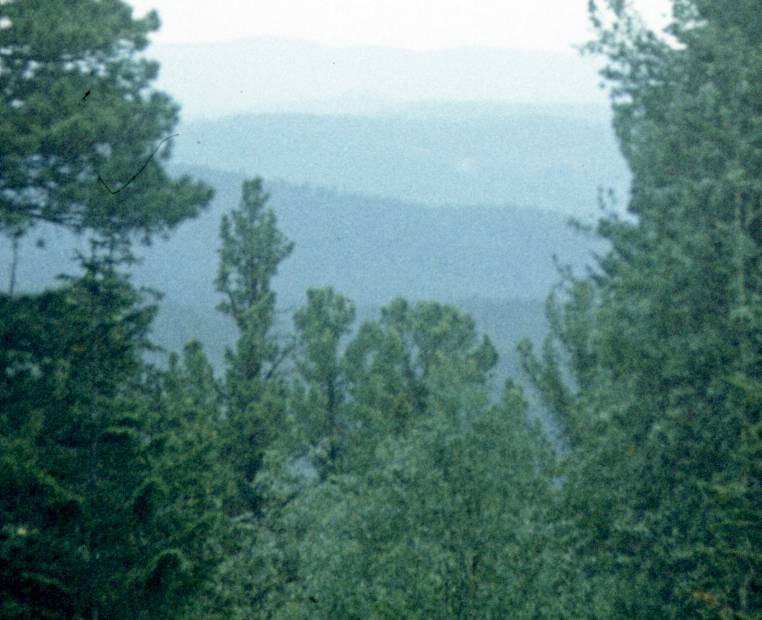 063-1.jpg
