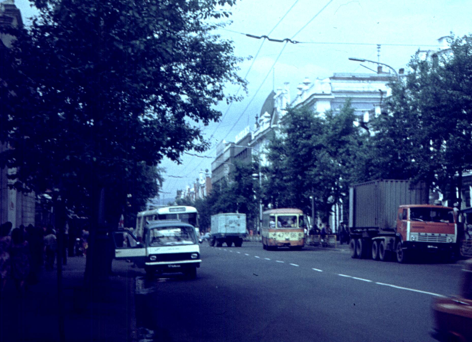 175.jpg