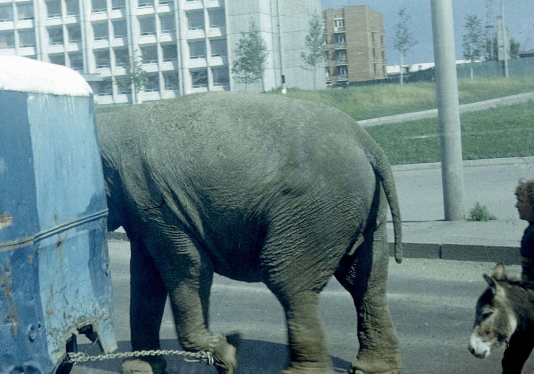179.jpg