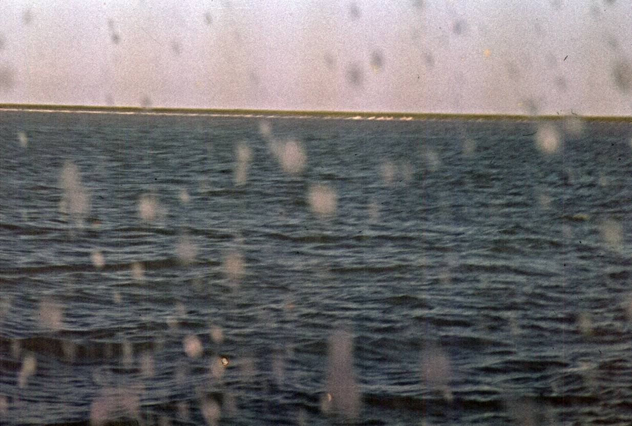 033.jpg