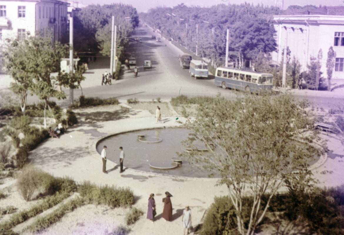 161.jpg