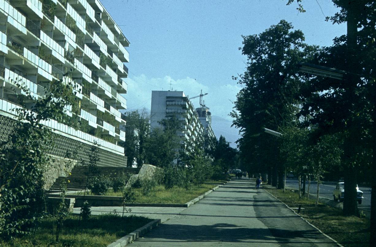 186.jpg