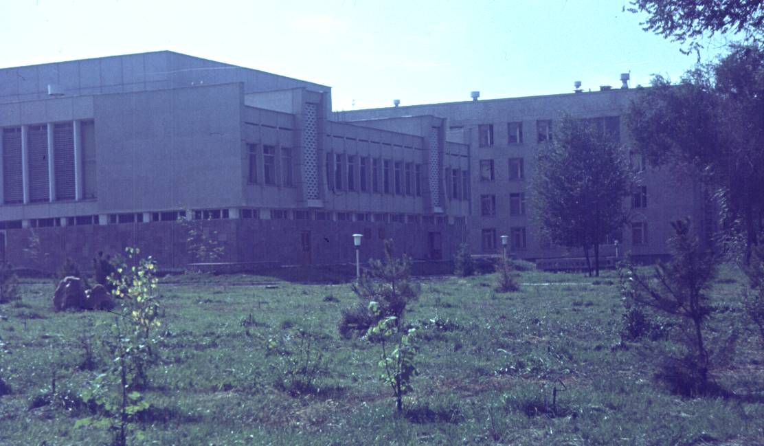 194.jpg