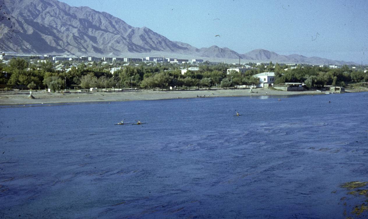 207.jpg