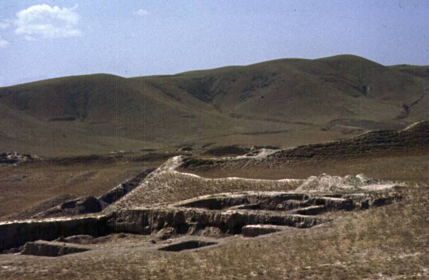 234.jpg
