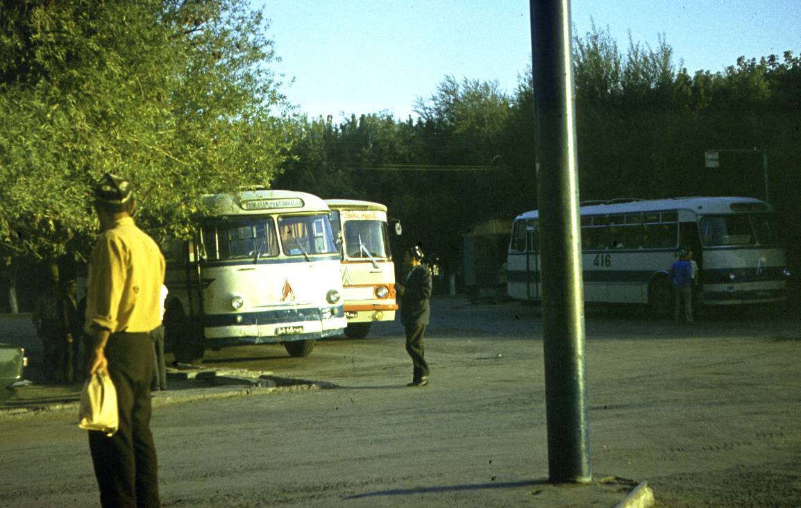 239.jpg