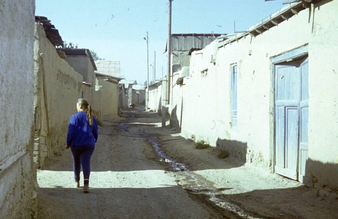 242.jpg