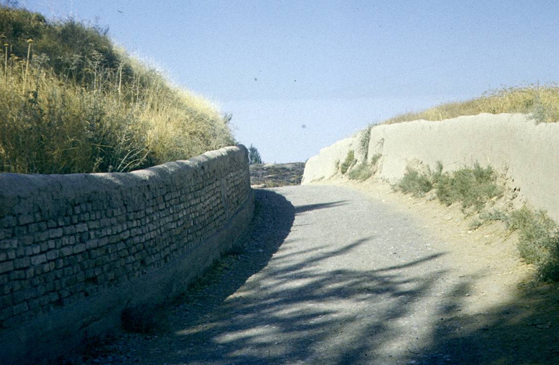 245.jpg
