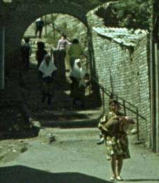 254-2.jpg