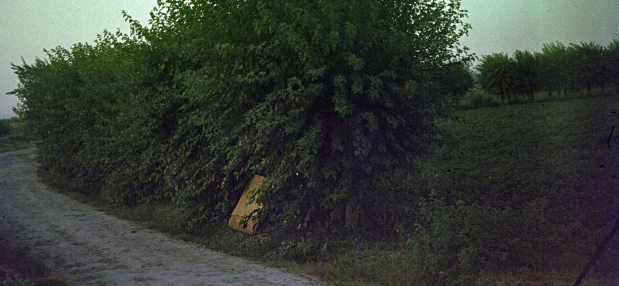 271.jpg