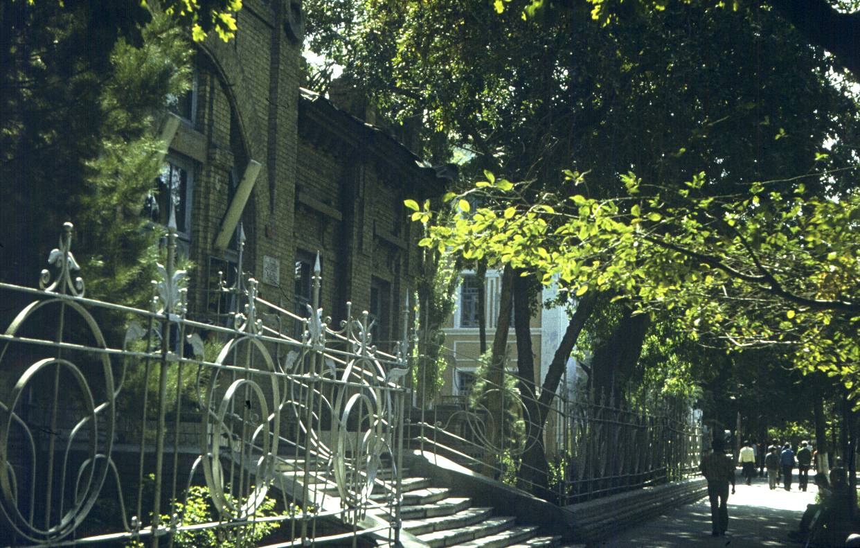 288.jpg