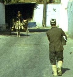 290-1.jpg