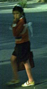 294-1.jpg