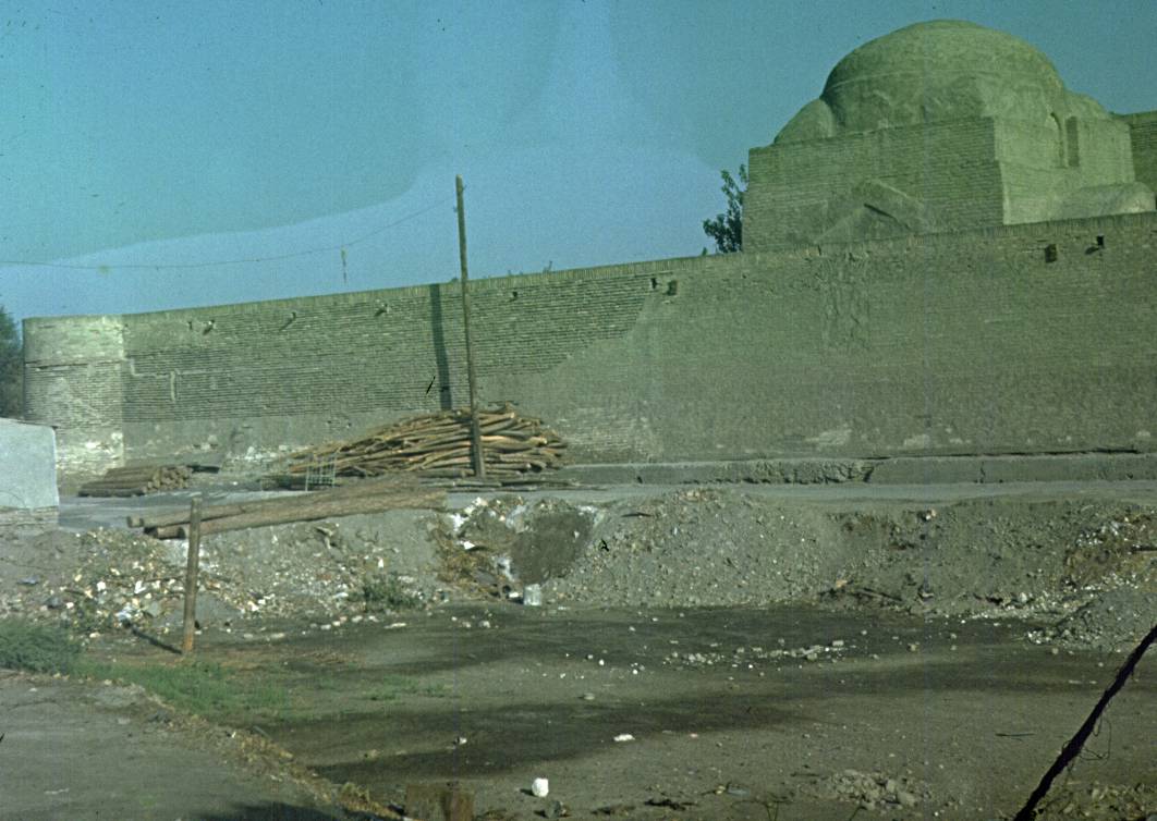 296.jpg