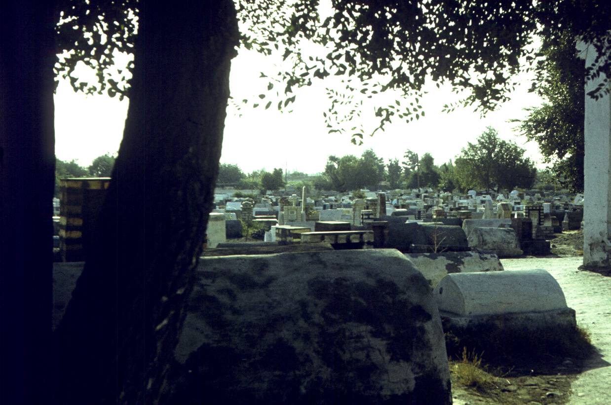 306.jpg