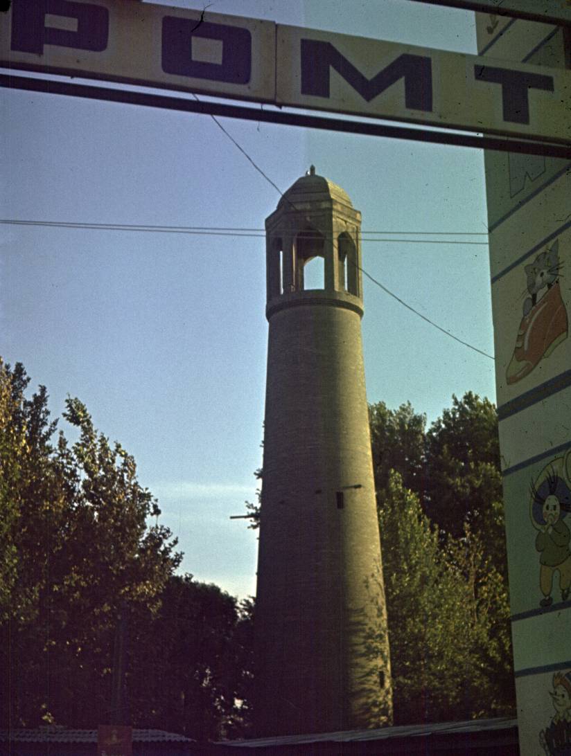 310.jpg
