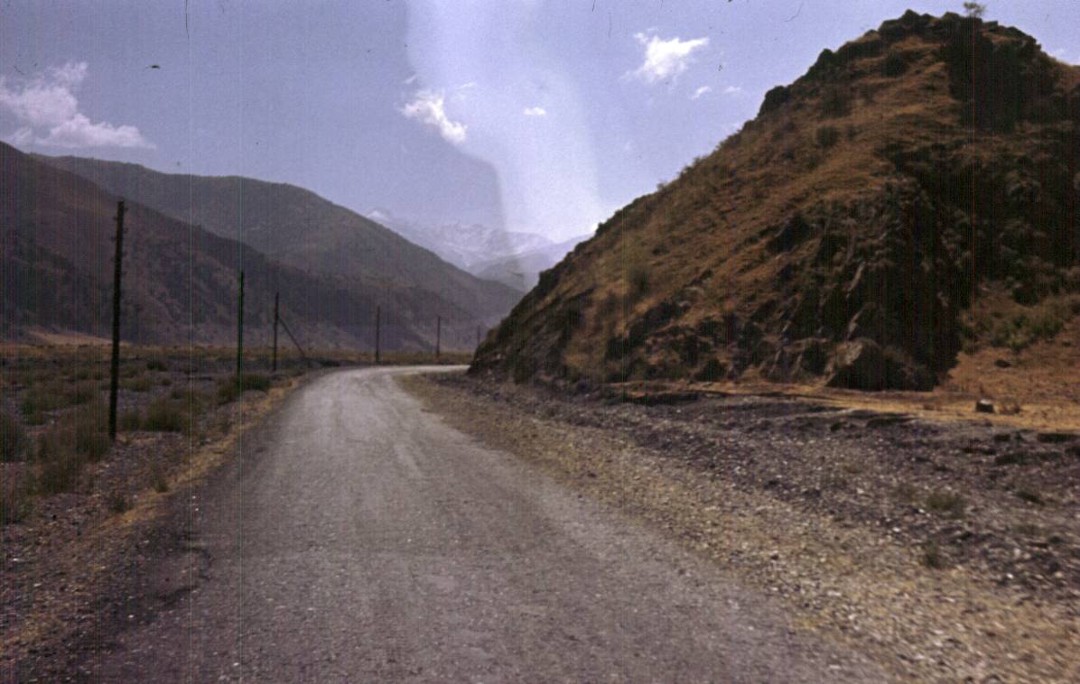 319.jpg