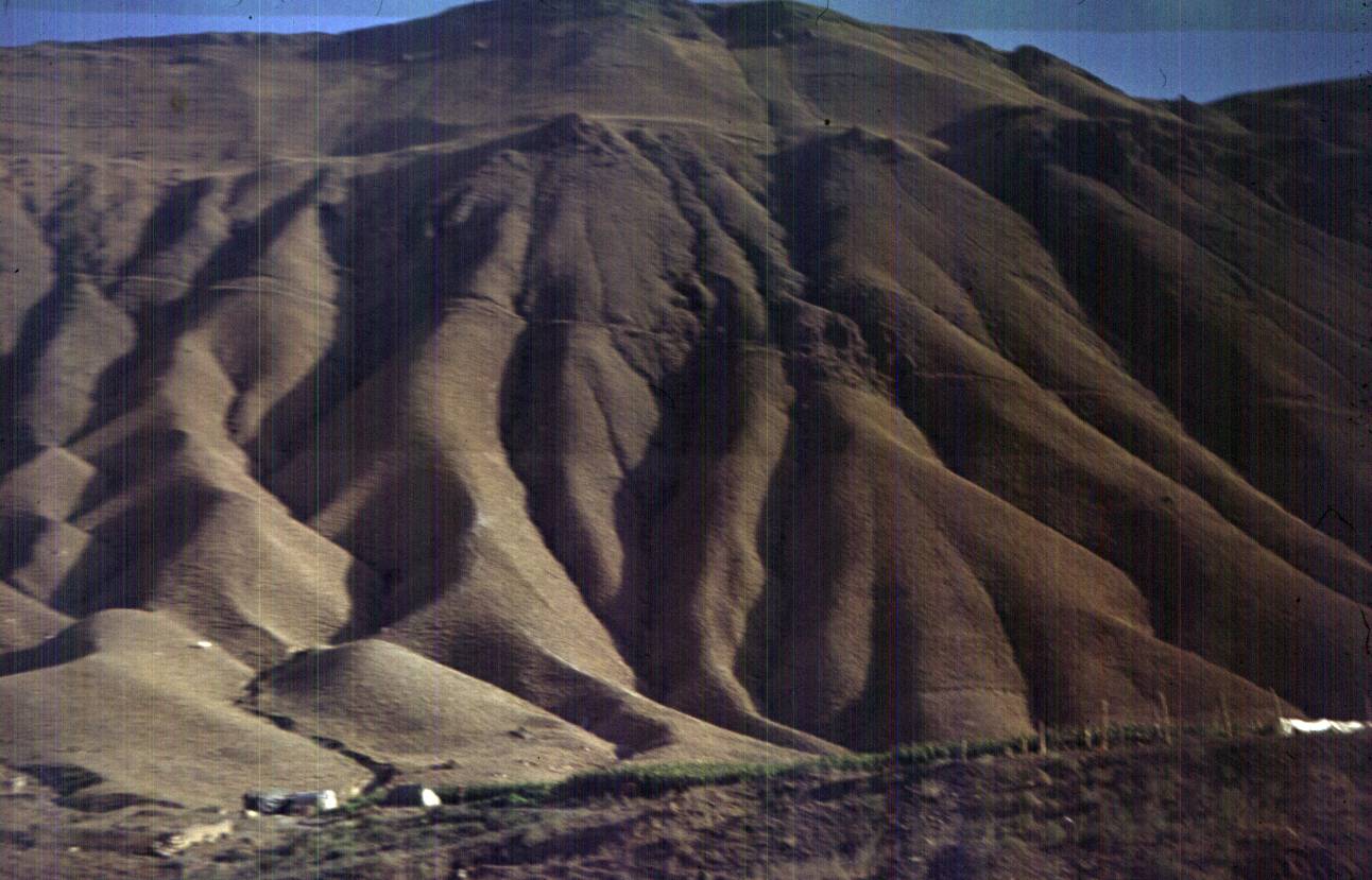 334.jpg