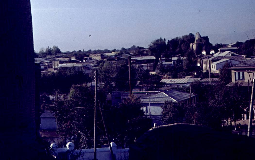 349.jpg