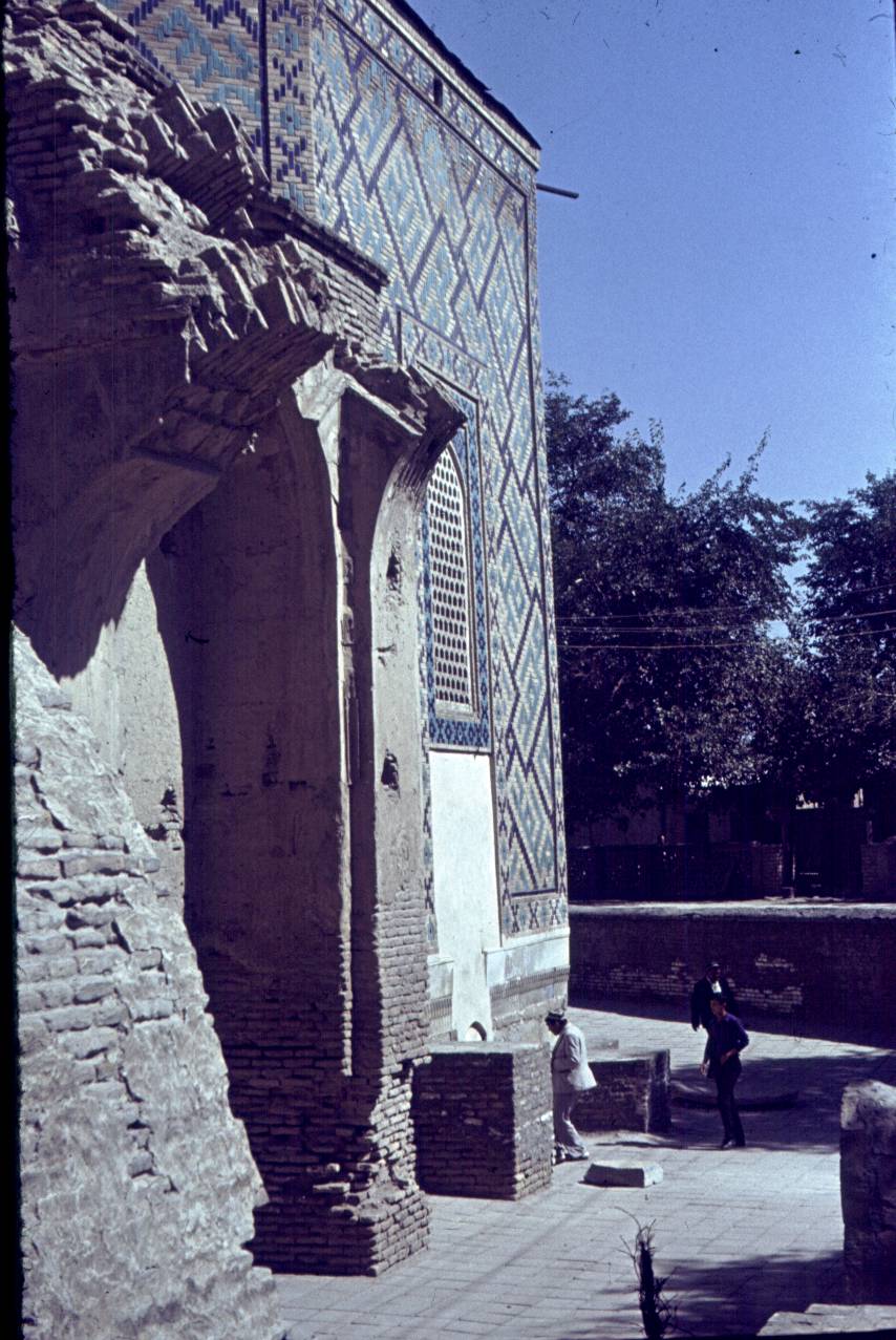 354.jpg