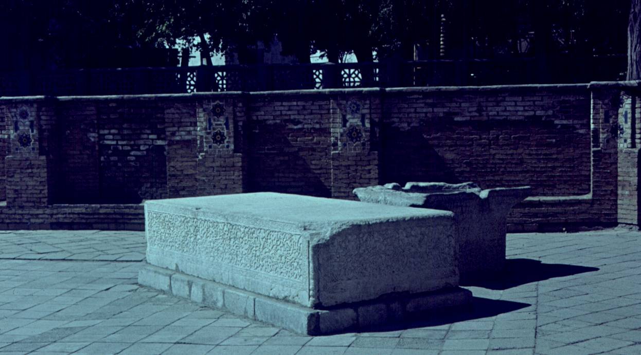 355.jpg