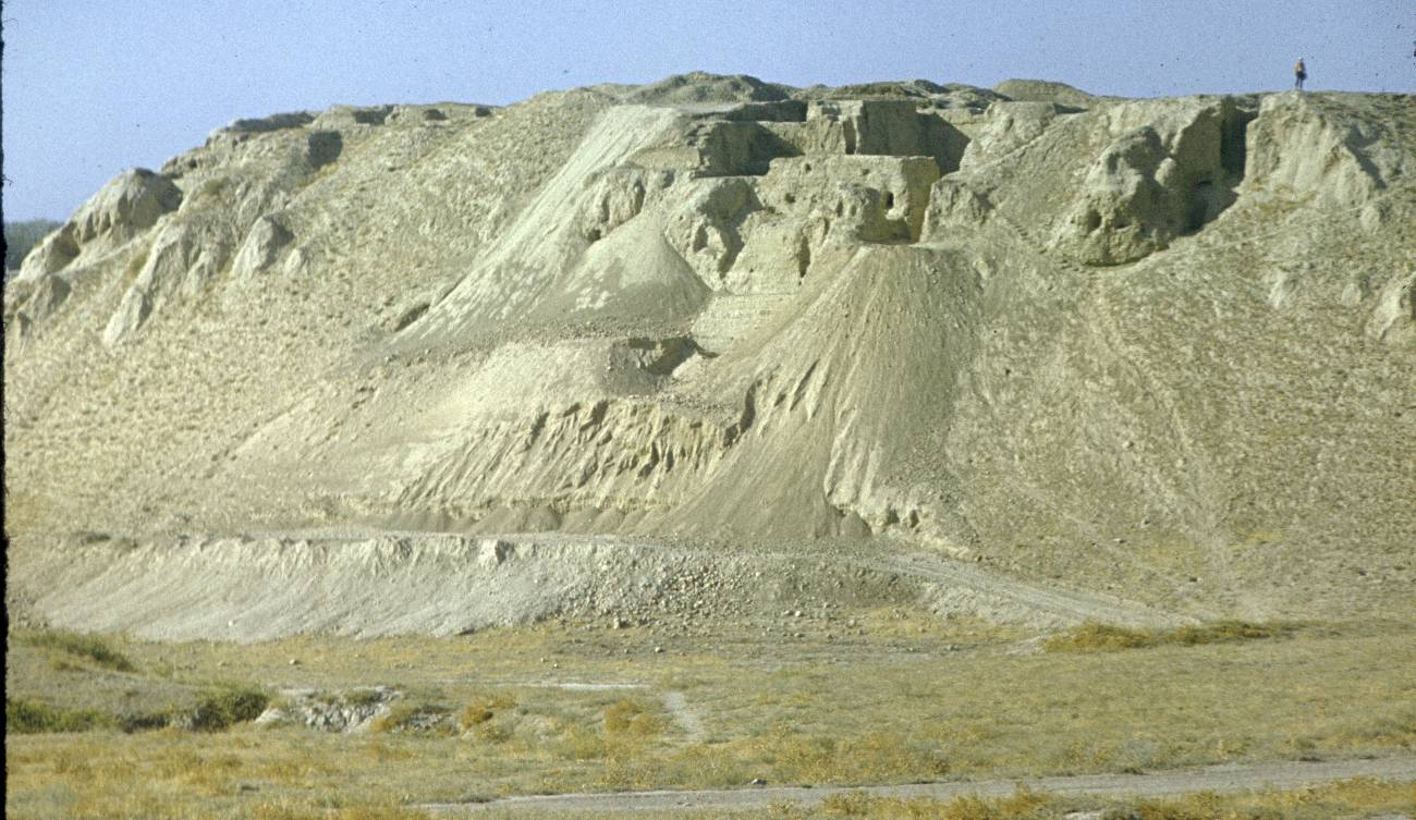 388.jpg