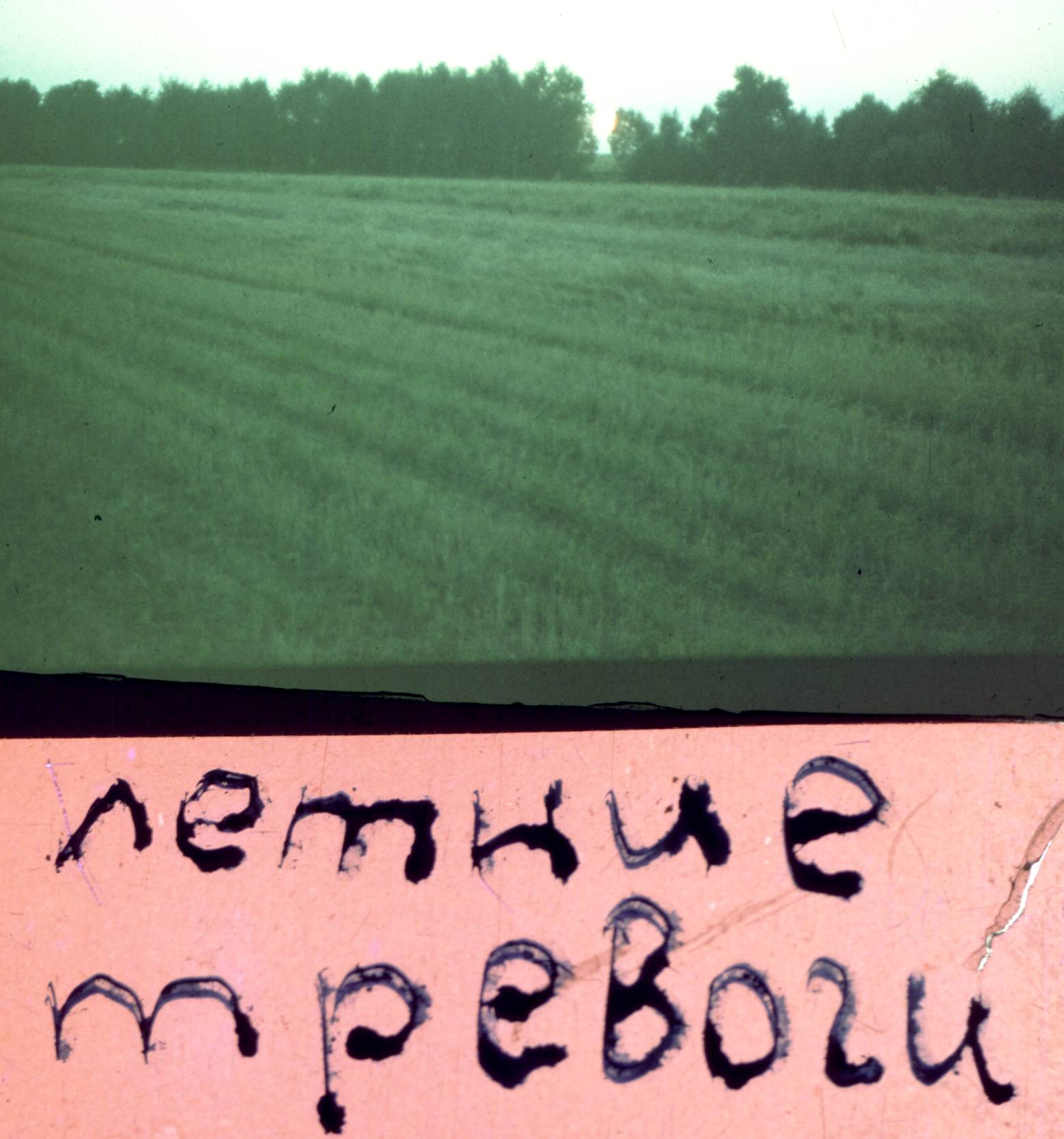 008.jpg