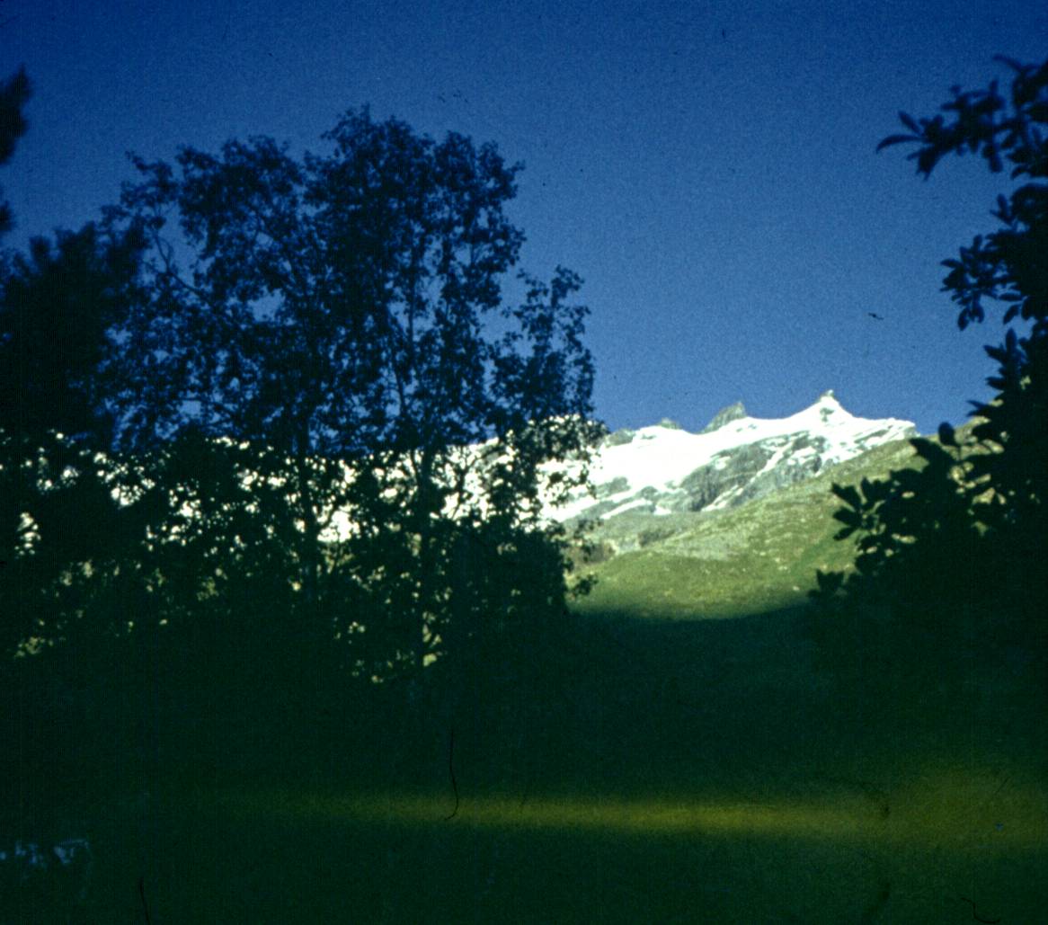 060-1.jpg