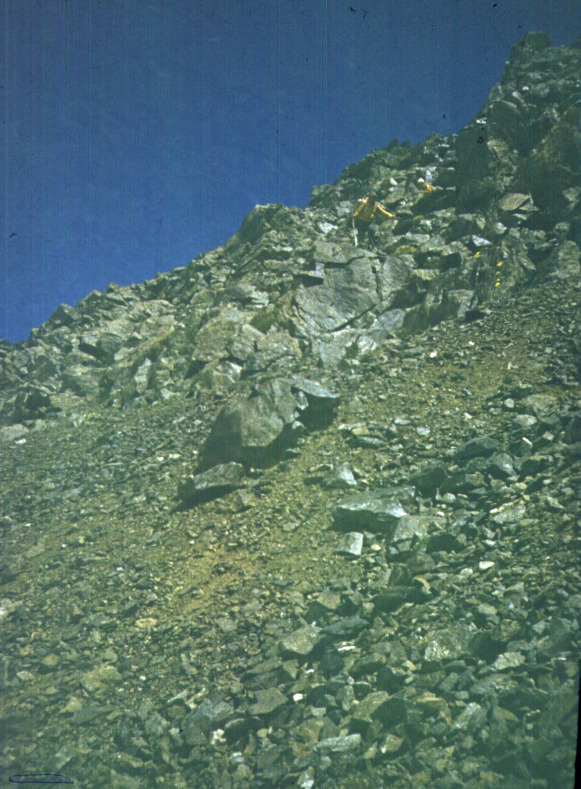 111.jpg