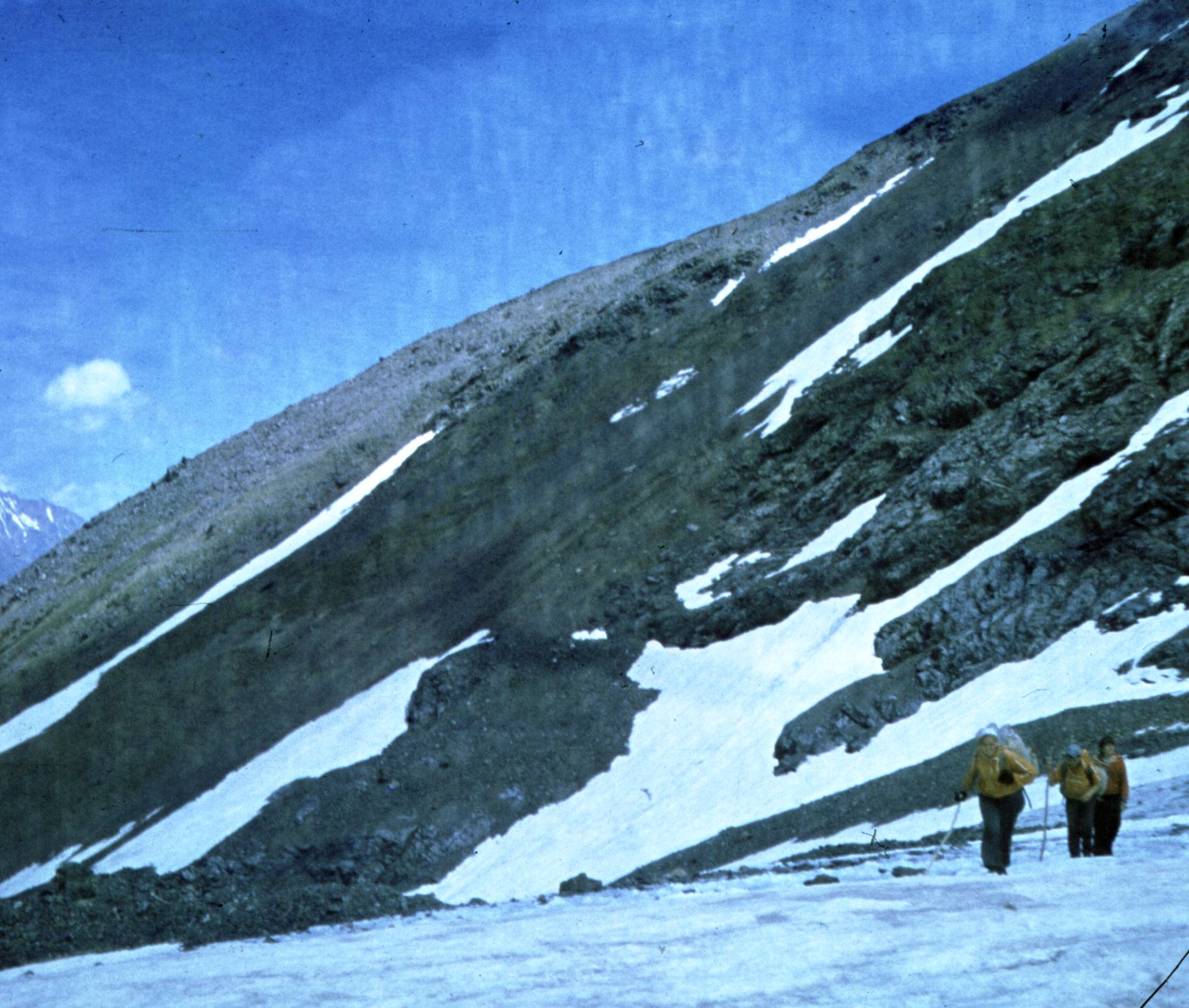 119.jpg