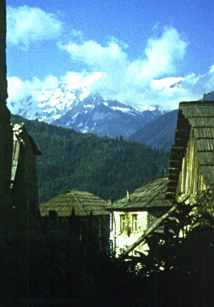147.jpg