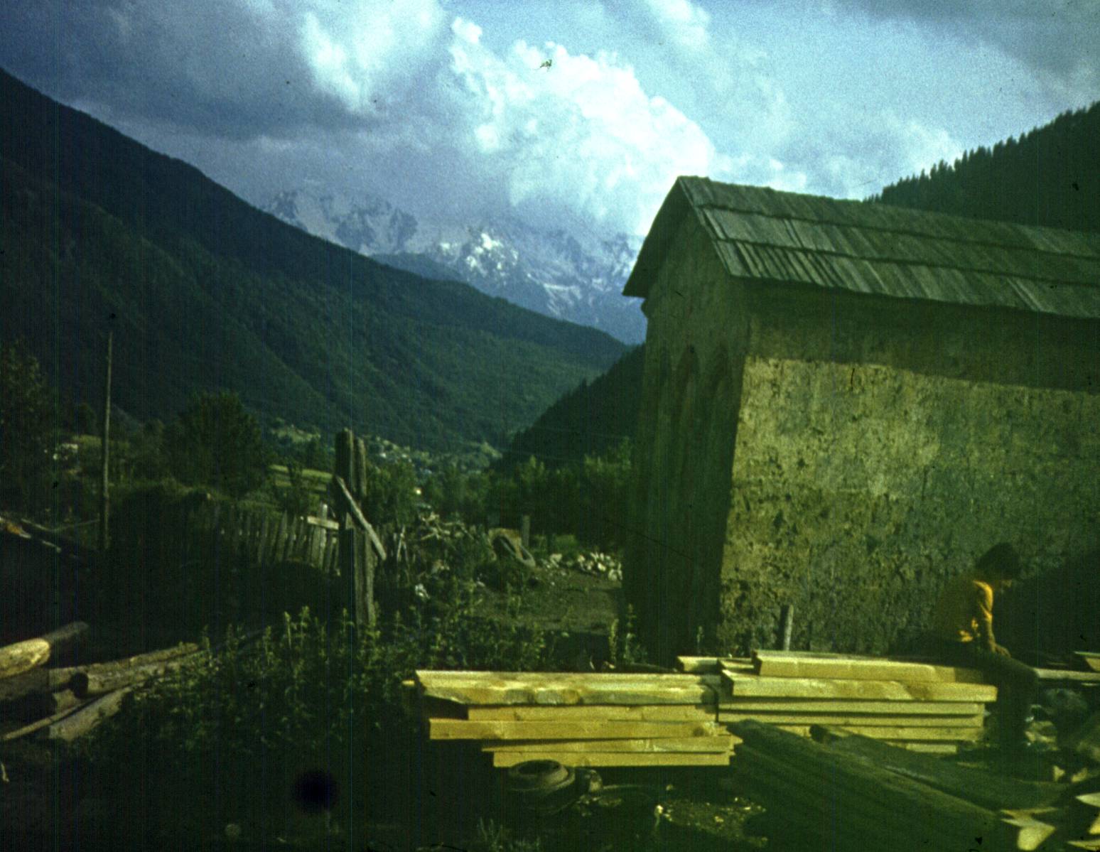 174.jpg