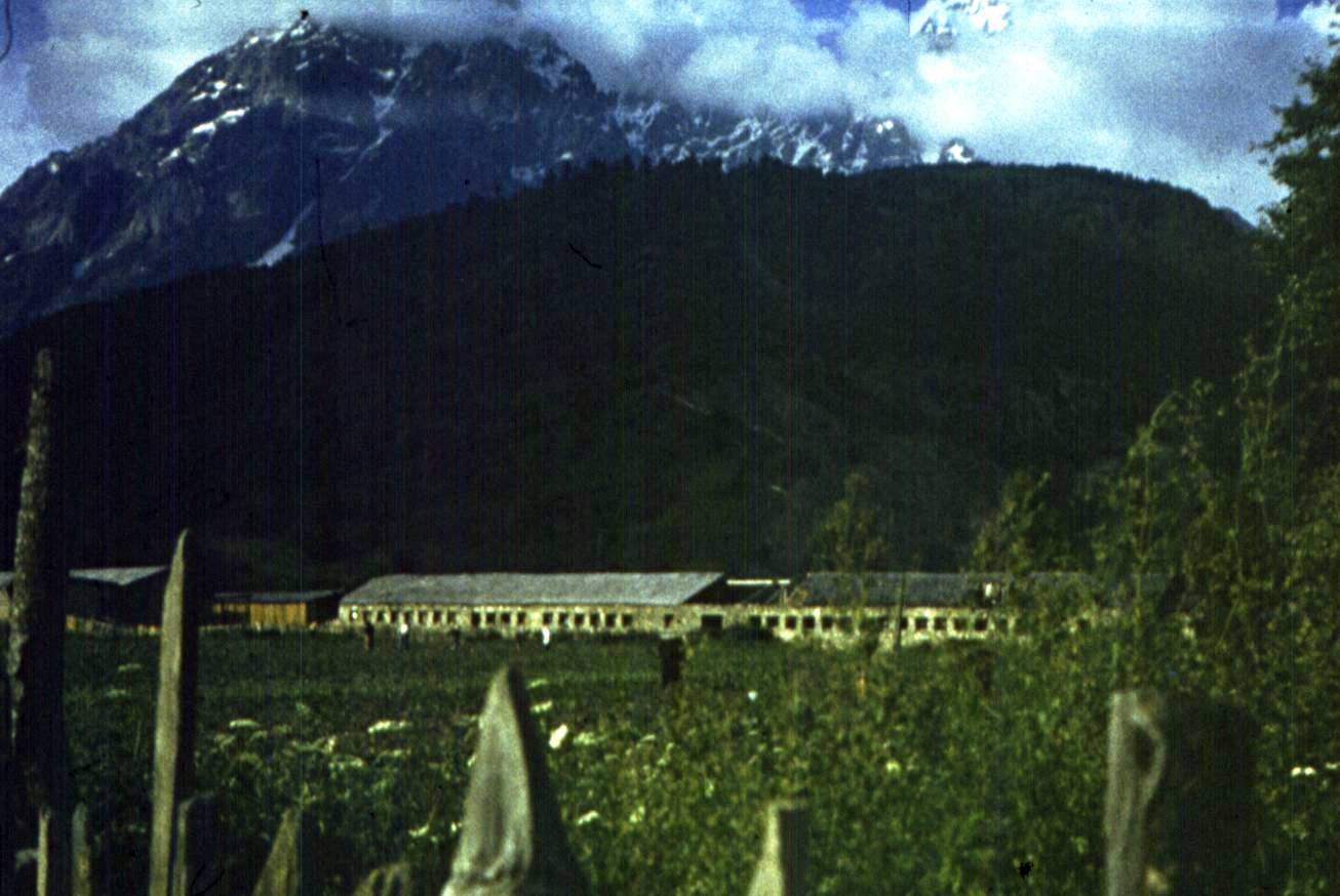 175.jpg