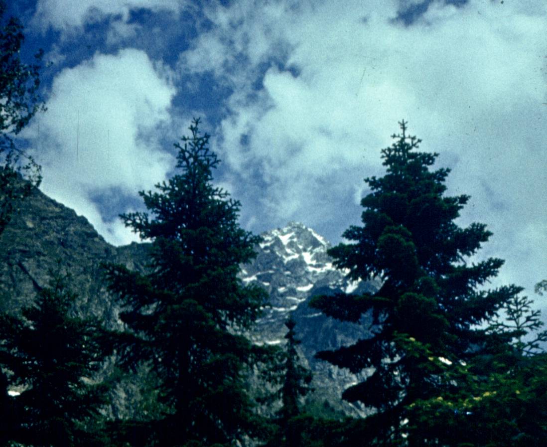 195.jpg