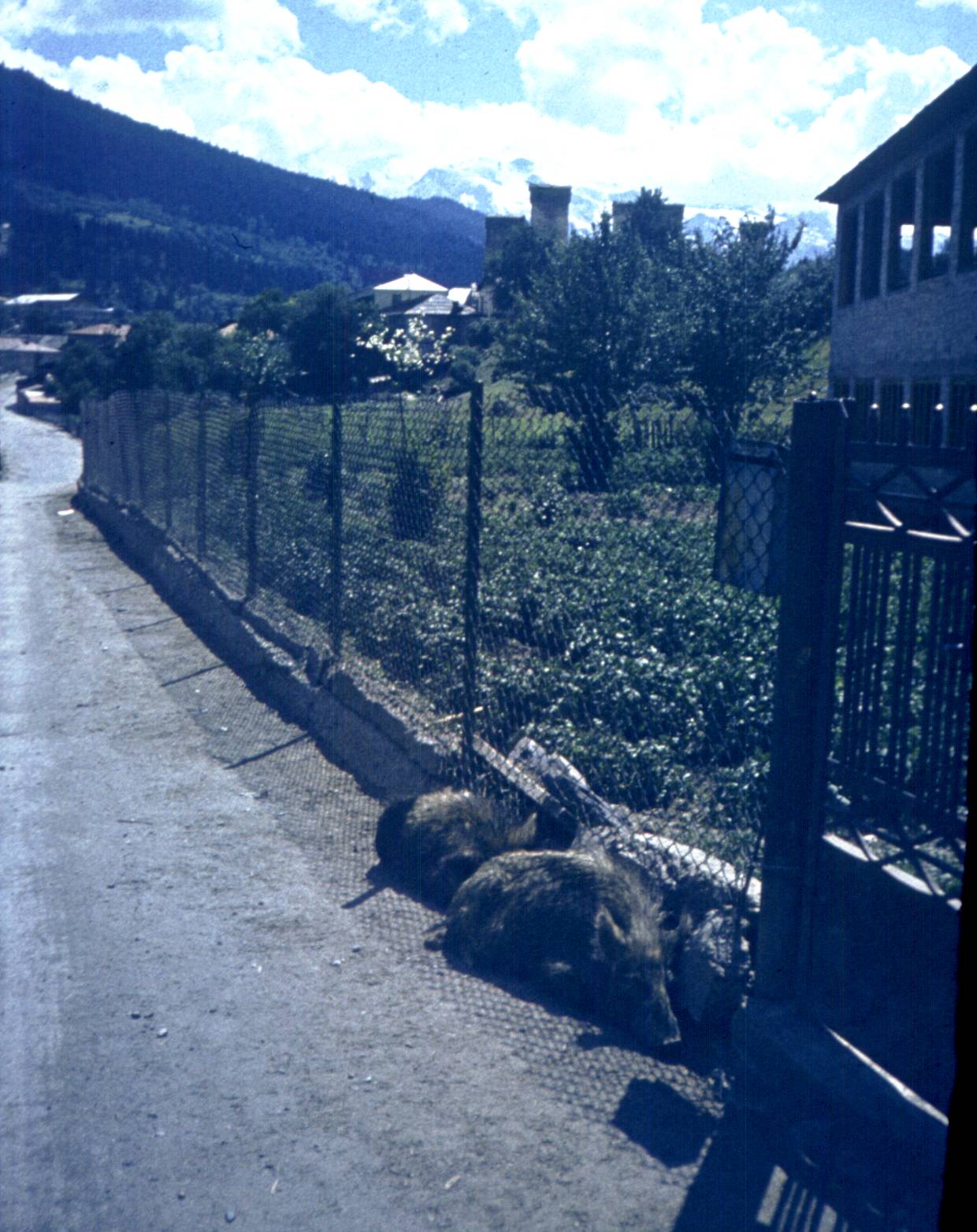 234.jpg