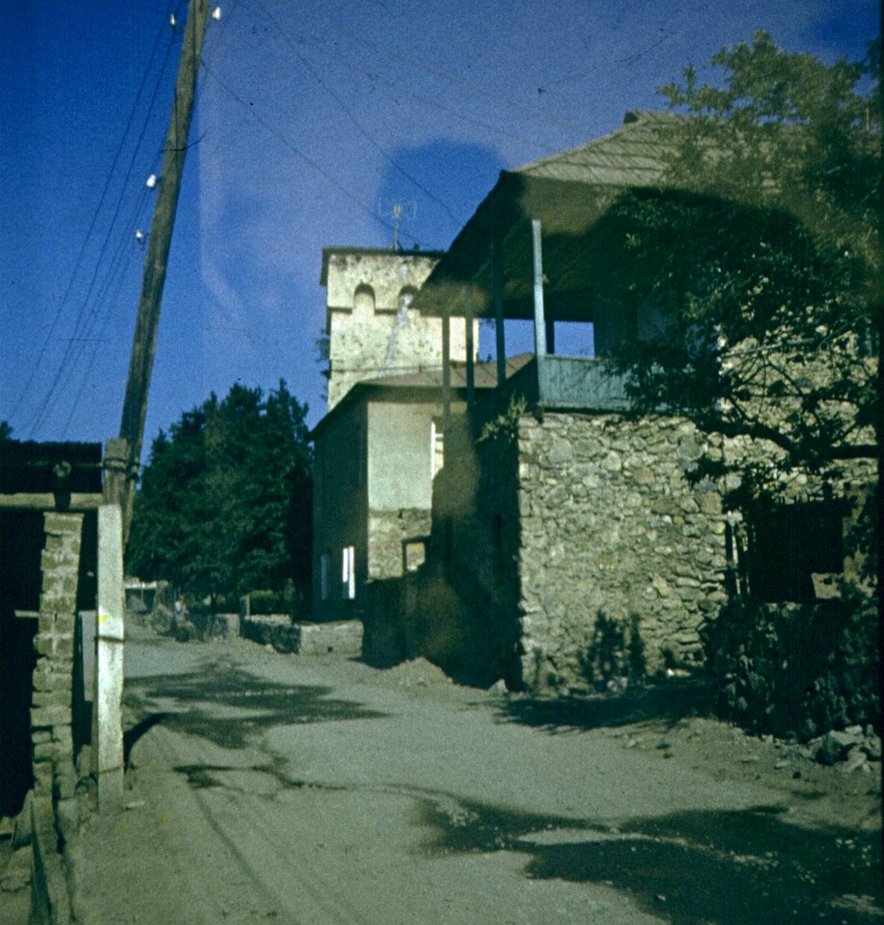 239.jpg