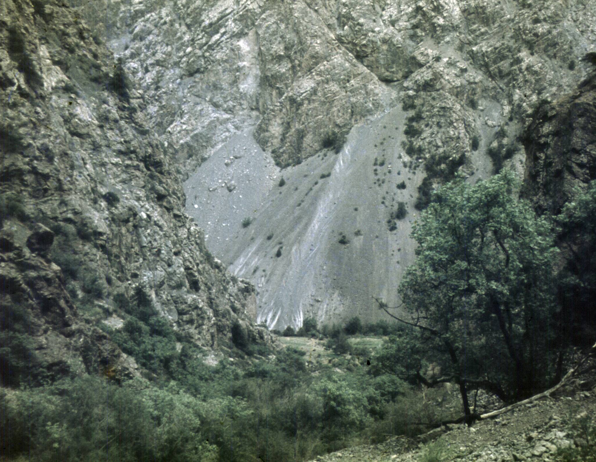 275.jpg