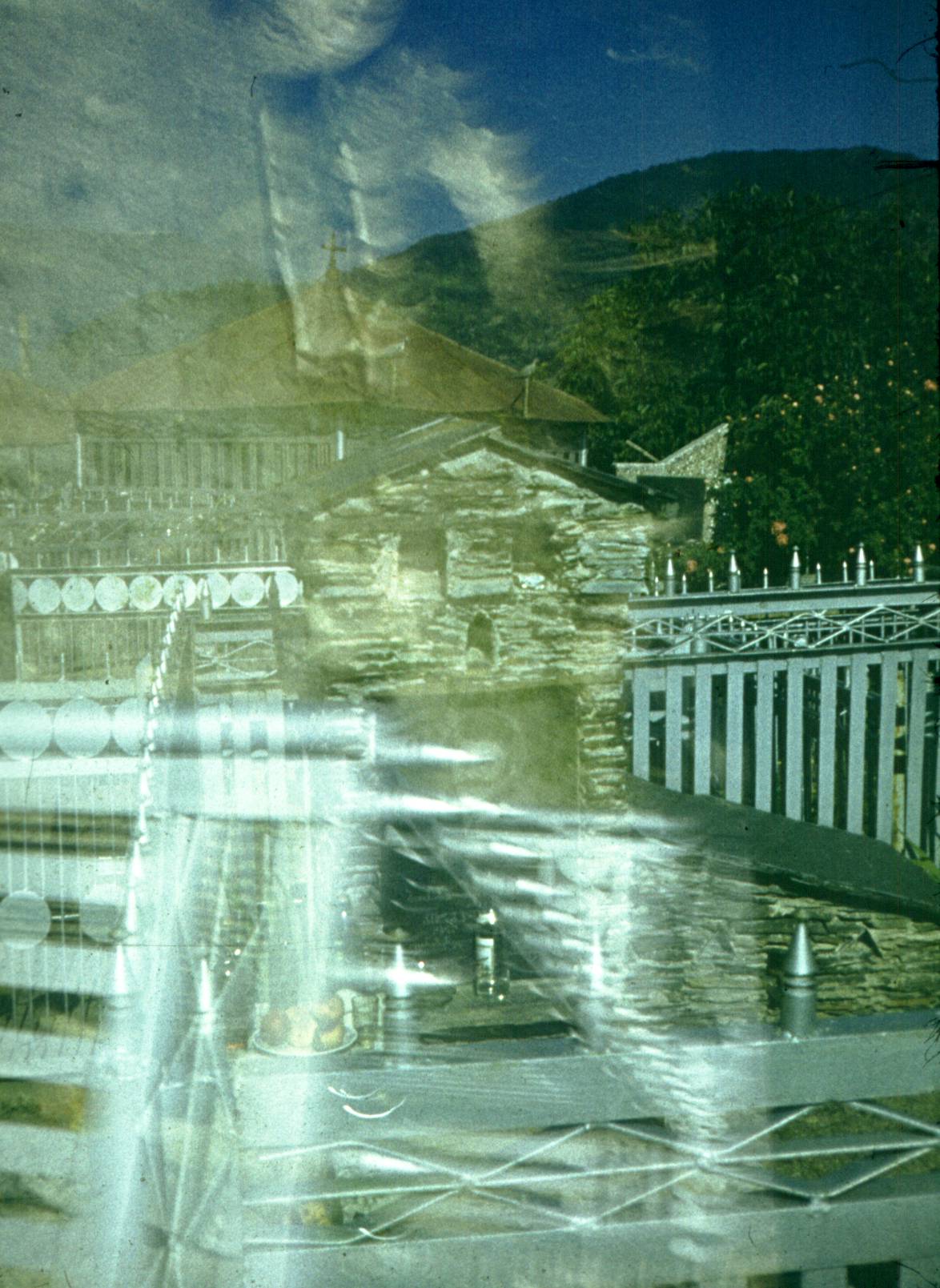 286.jpg
