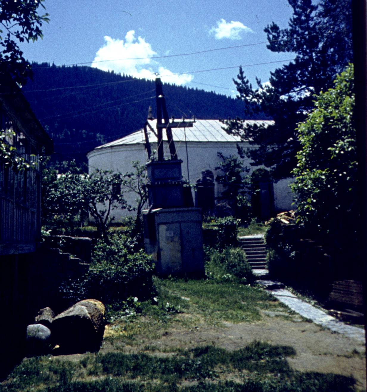 294.jpg