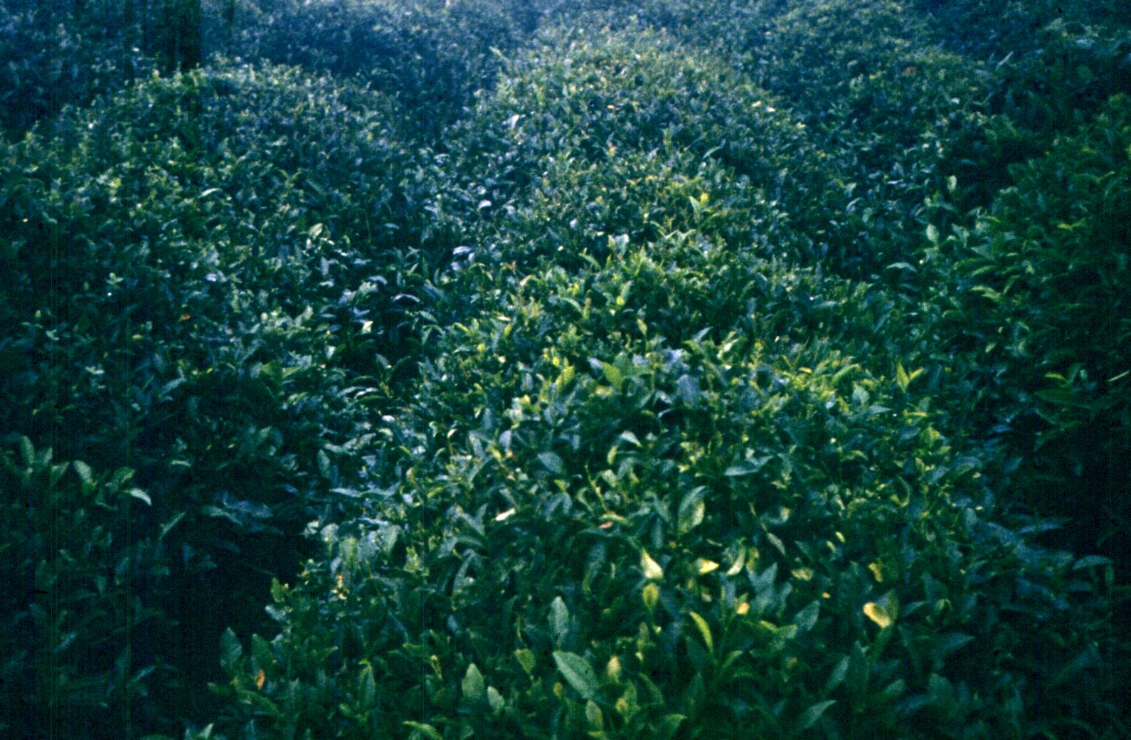 304.jpg