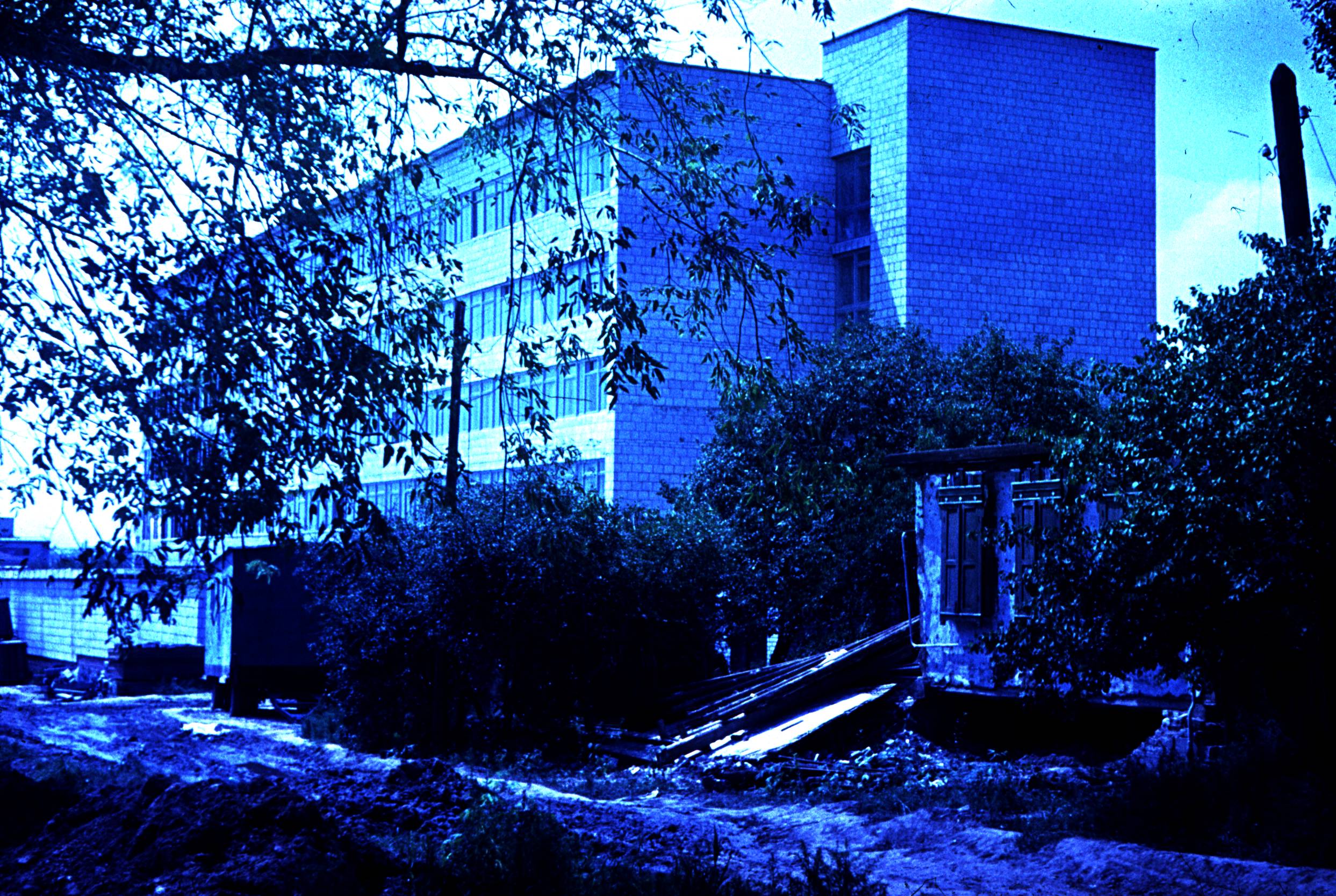131.jpg