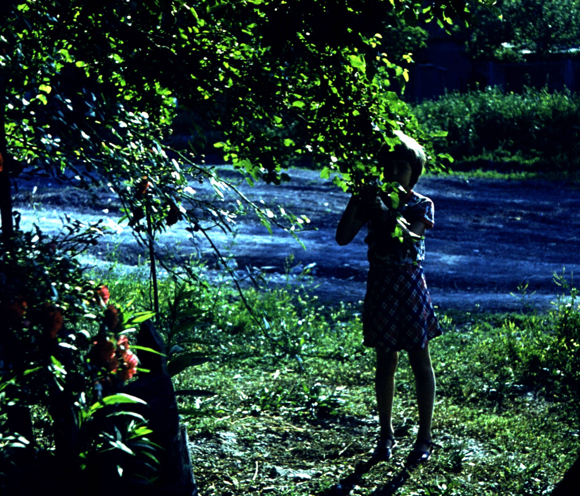 190.jpg