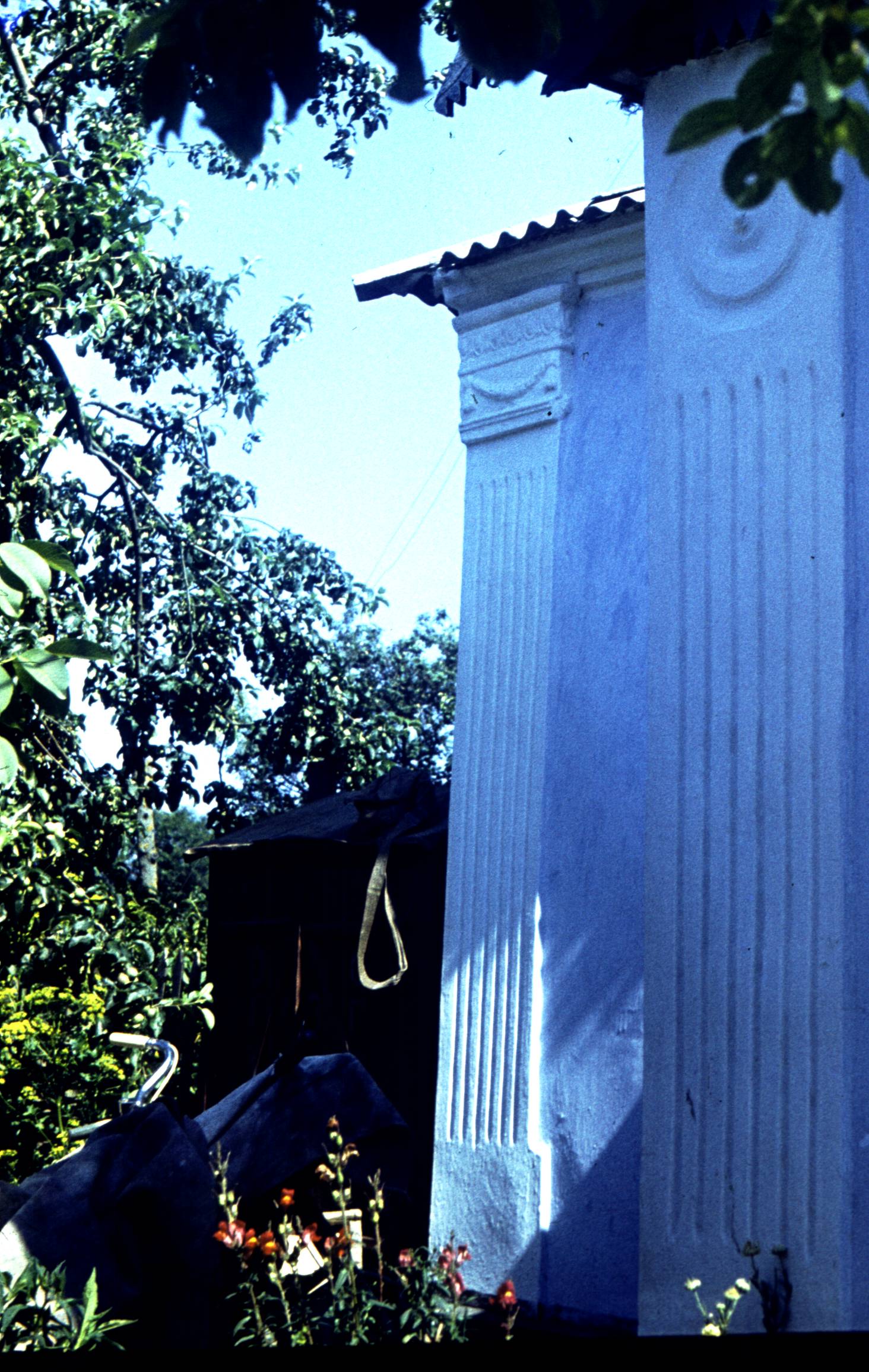 194.jpg