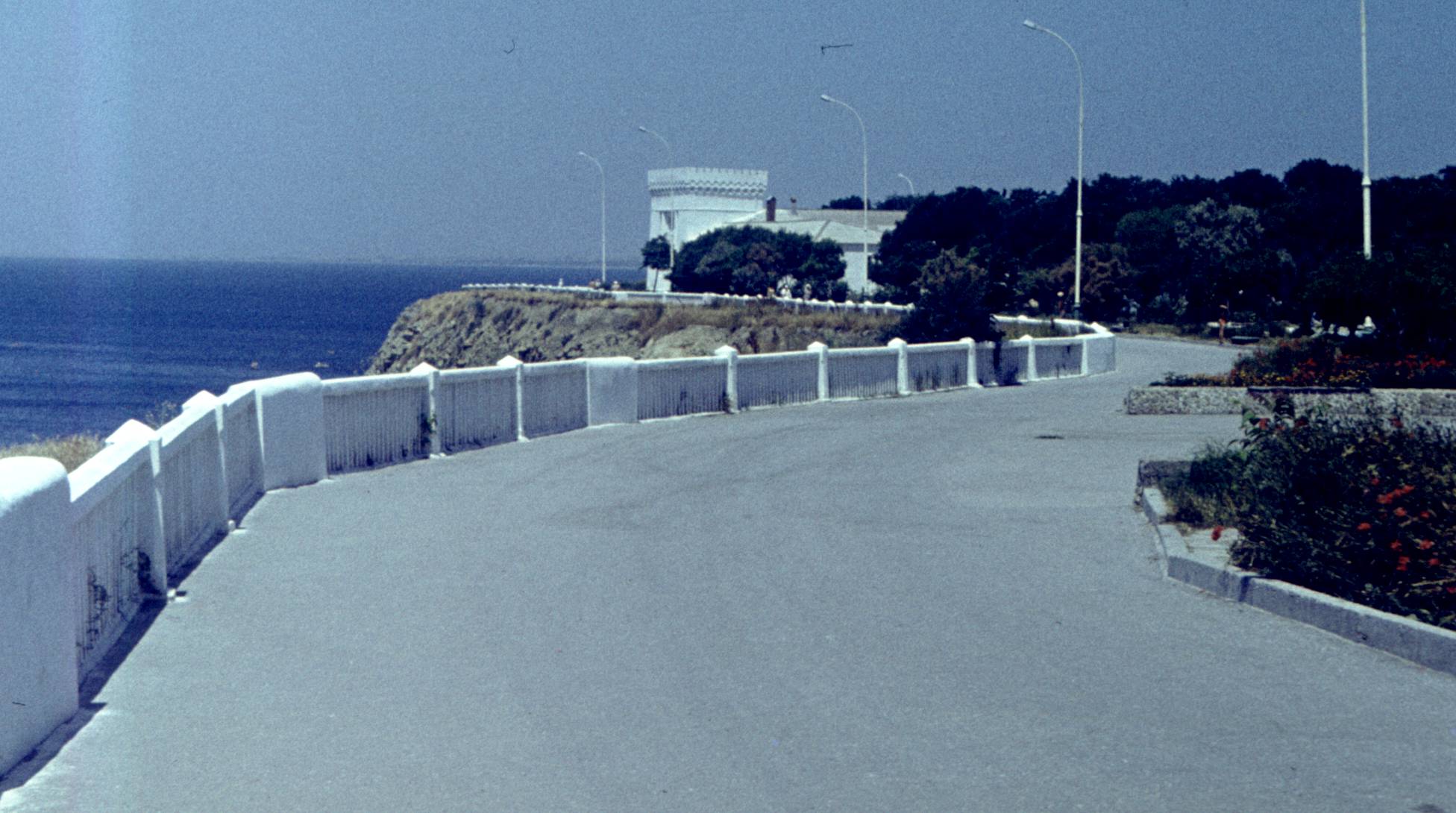 228.jpg