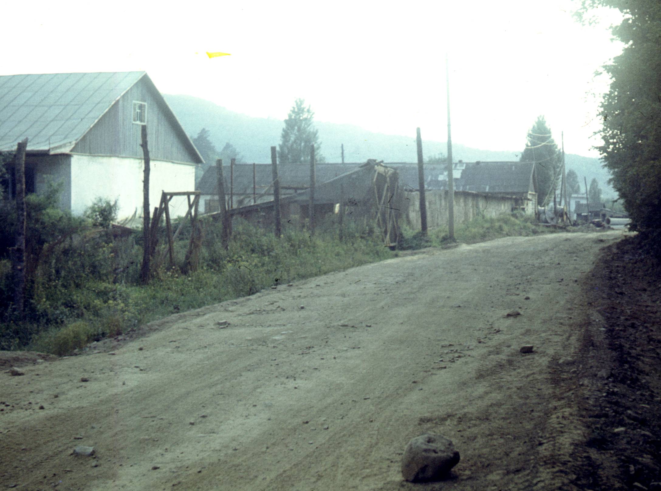 246.jpg